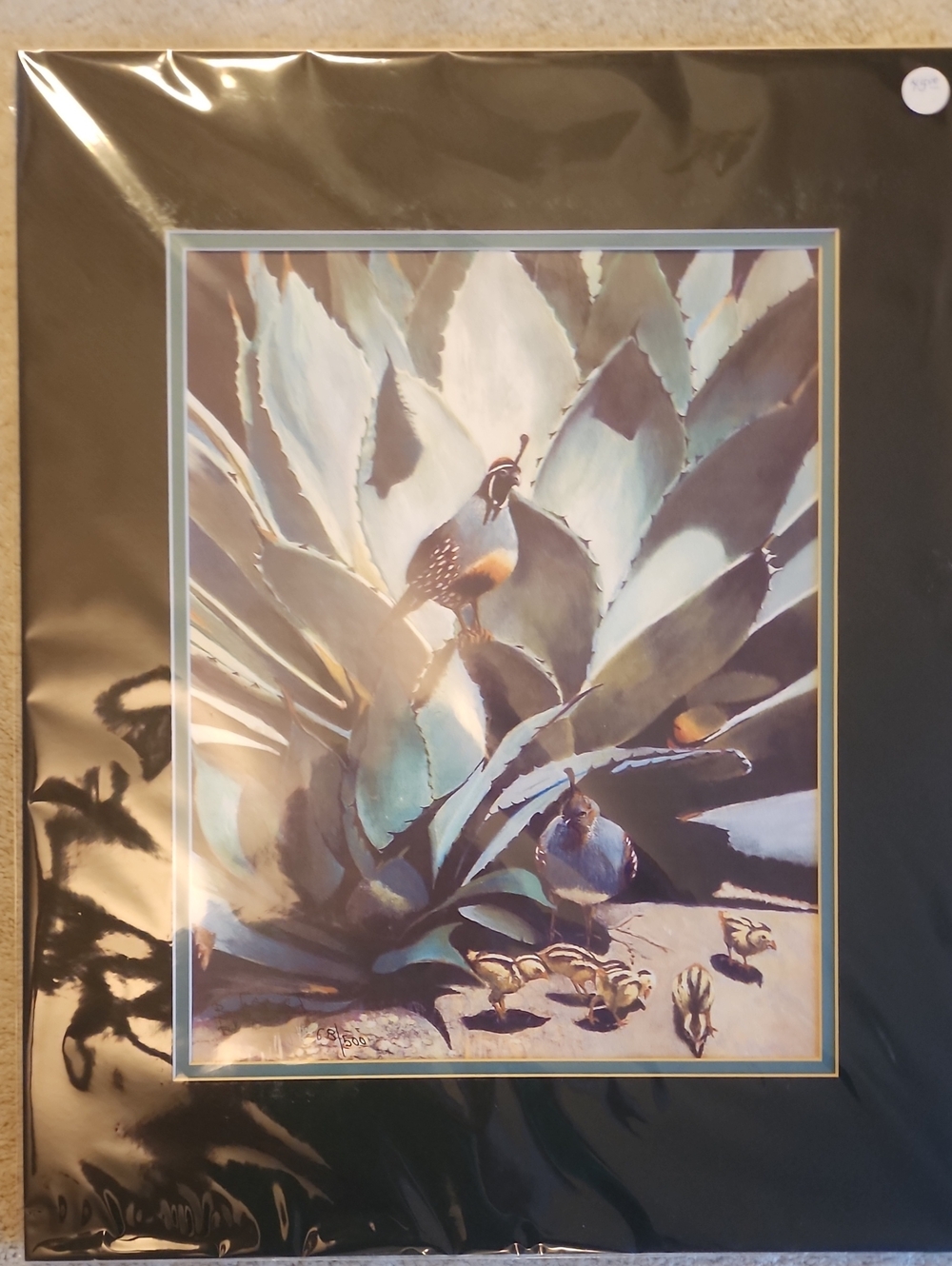 Unbranded Blue-Green Quail Botanical Wall Art Print